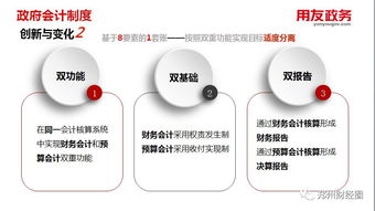 新政府準(zhǔn)則制度下用友政務(wù)軟件配套會(huì)計(jì)用品的A4版展示與應(yīng)用解析